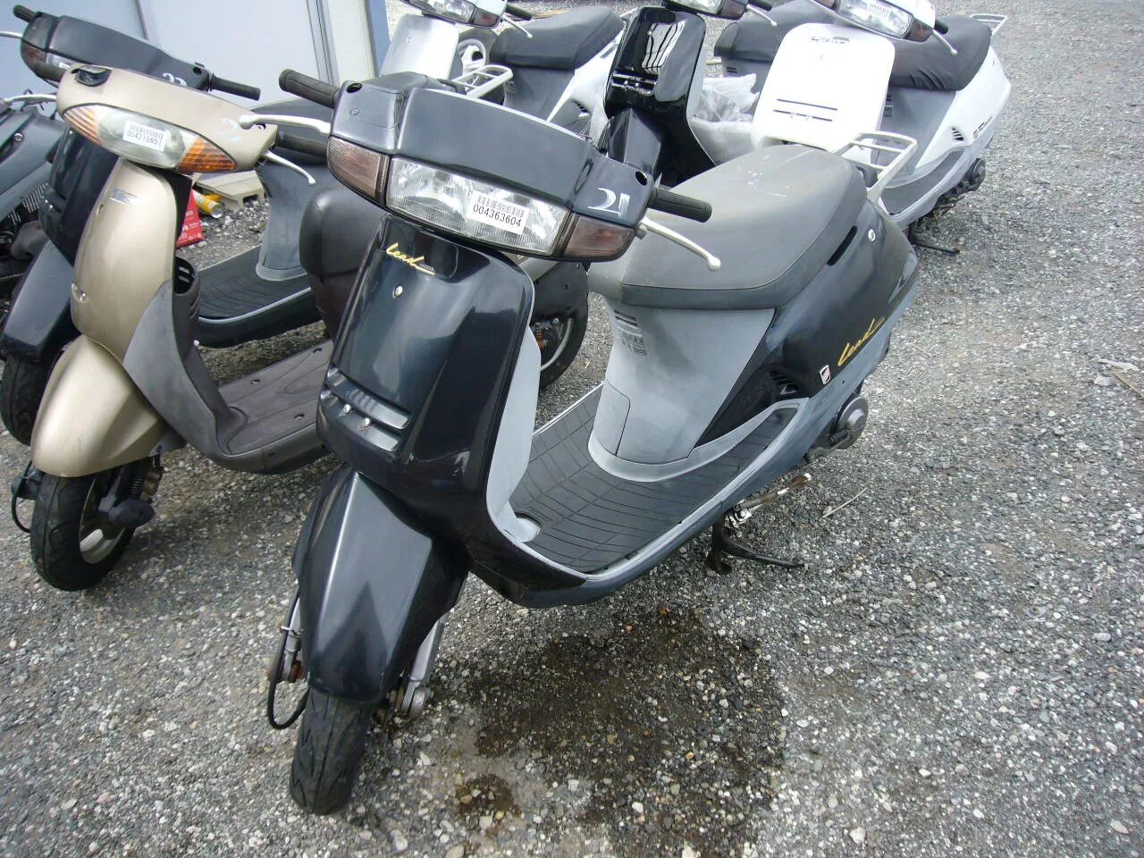 Honda lead 50. Скутер Хонда лид 50. Honda lead 50 af20. Хонда лид АФ 20.