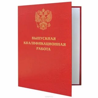 Квалификационная дипломная работа