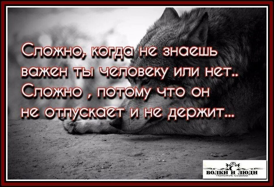 Статусы про привязанность к человеку. Открытки со смыслом. Со мной сложно цитаты. Статусы в картинках со смыслом. Потому что легче всего быть