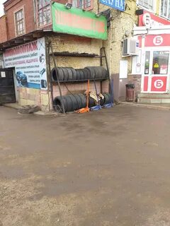Тонус кроха коминтерна