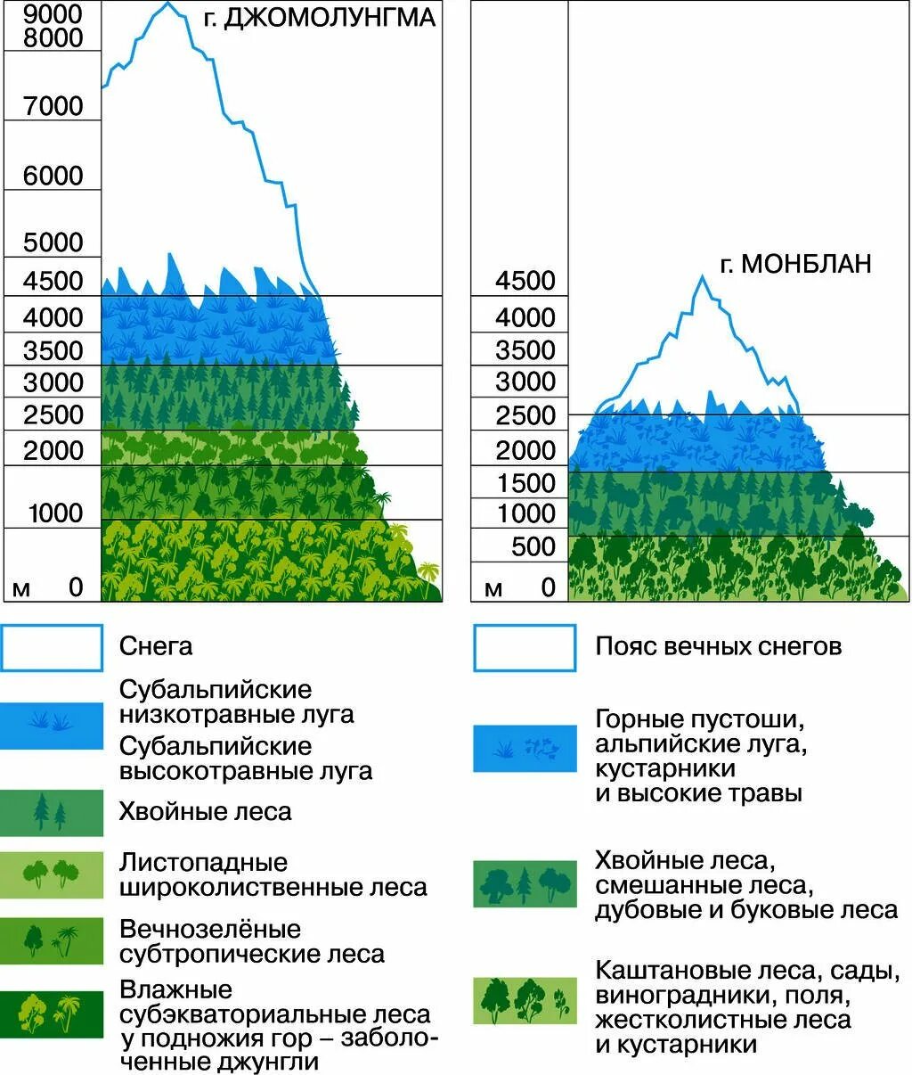 На какой высоте расположен субальпийский пояс кавказ. Высотная поясность горы Гималаи. Схема ВЫСОТНОЙ поясности в горах. Высотная поясность горы Альпы. Высотная поясность Гималаев схема.