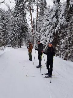 Аленушка новгородская