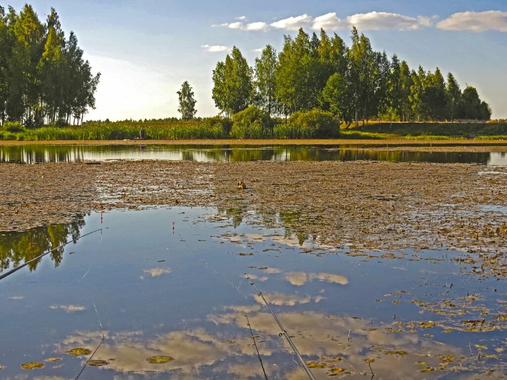дер. псковская область невельский район деревня васьково. населения деревня васьково починковский район. тверская обл. погода в васьково смоленская область.