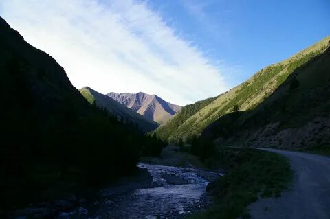 Кур куль