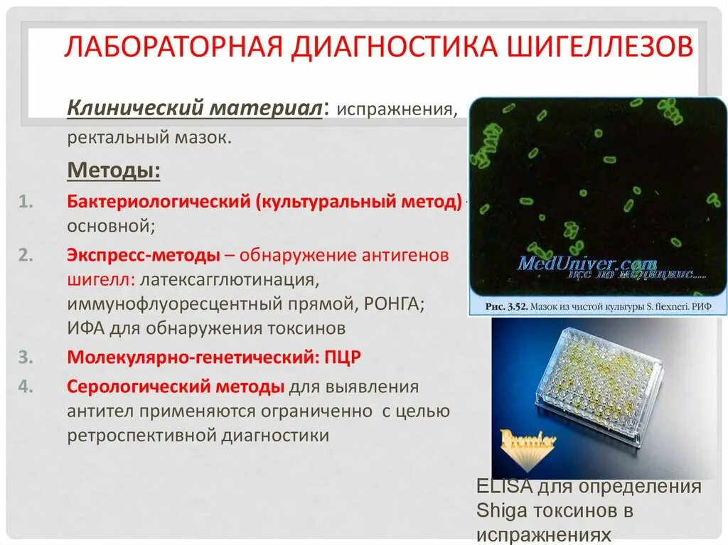 Методы лабораторной диагностики шигелл. Бактериальная дизентерия материал для исследования. Бактериологический метод исследования дизентерии. Бактериологический метод исследования при дизентерии. 2 этап бактериологического метода