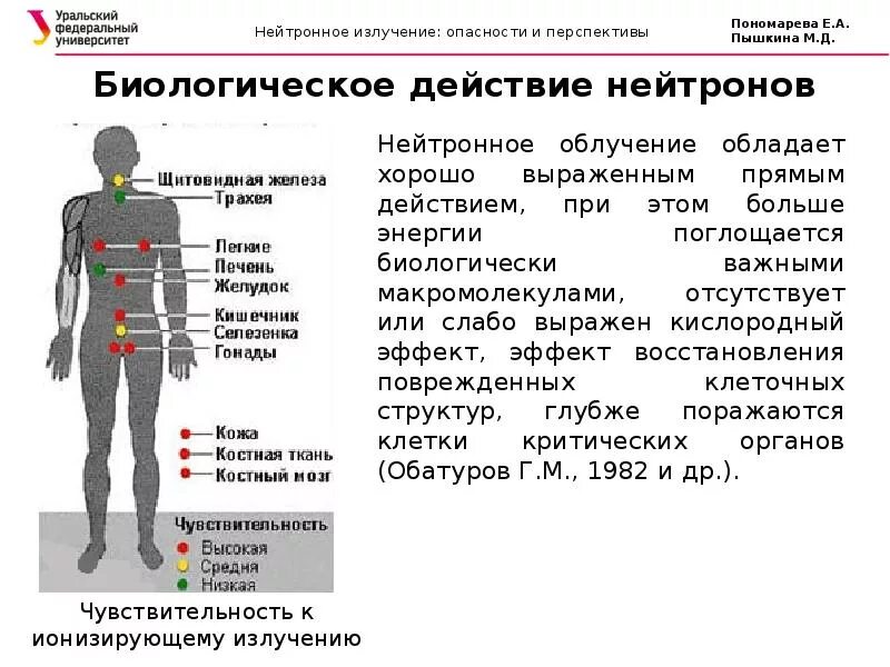 Нейтронное излучение излучение. Влияние радиационного излучения на организм. Последствия воздействия радиации. Влияние нейтронного излучения на организм человека. Радиация кожи