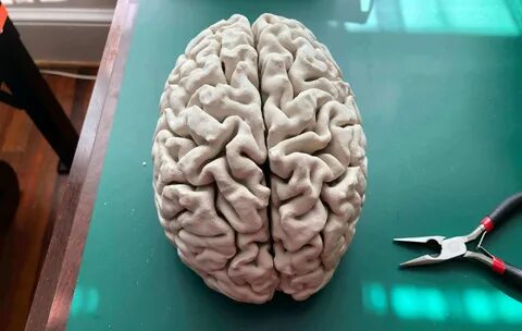 Brains look