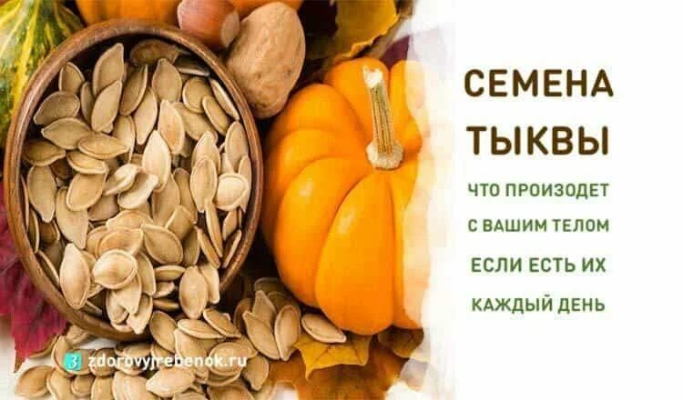 Семечки тыквенные. Цинк в тыквенных семечках. Семена тыквы от запора. Семена тыквы при запоре.