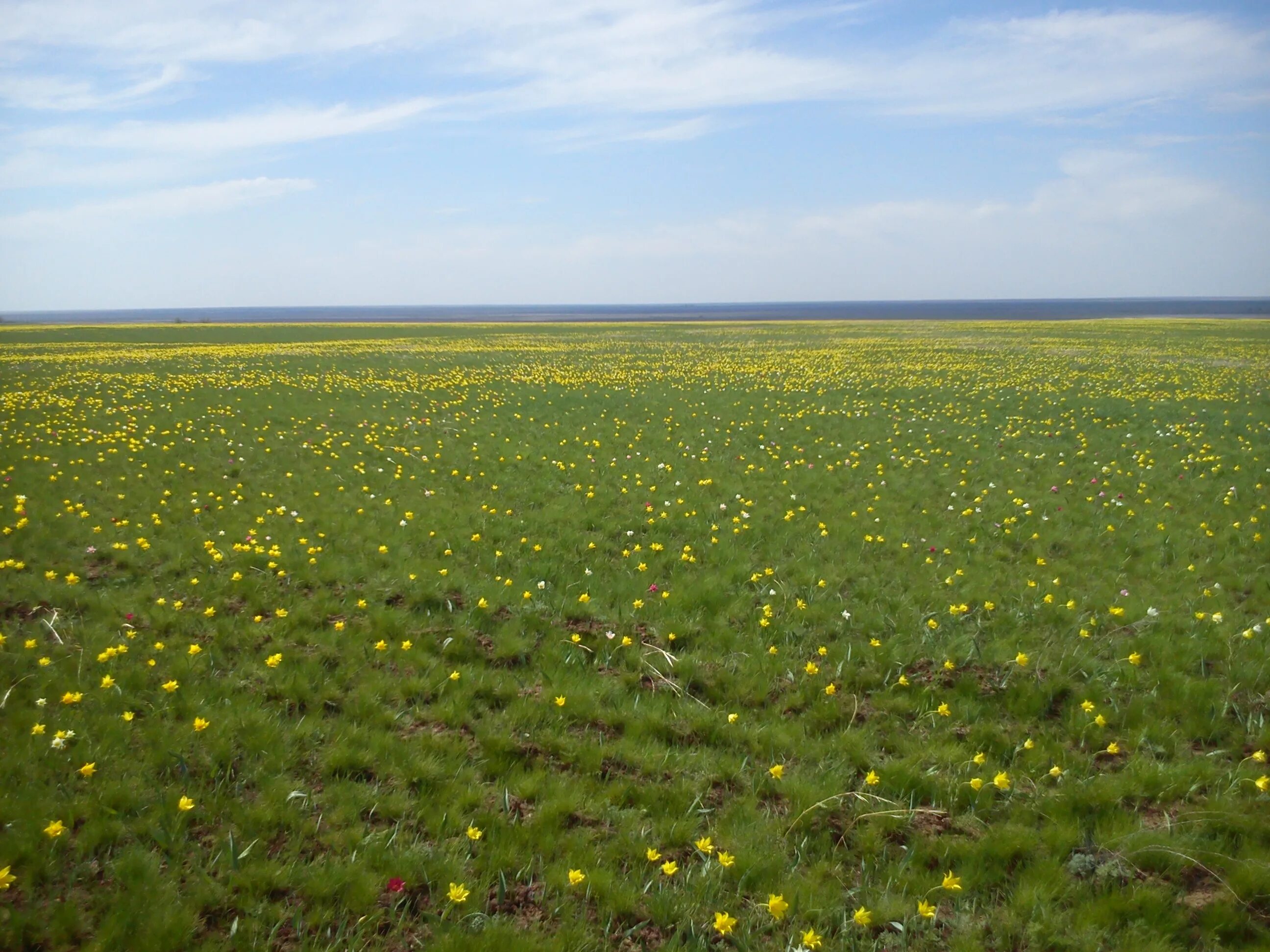 погода клинцовка саратовская. погода клинцовка саратовская. погода клинцовка саратовская. клинцовка на карте калининградская область. село клинцовка.