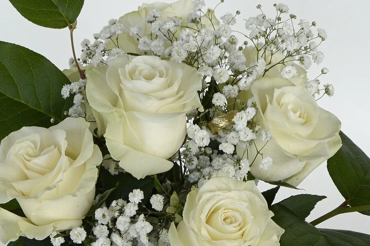 Красивые белые розы. Красивые белые цветы. Букет белых роз. Красивый букет белых роз.