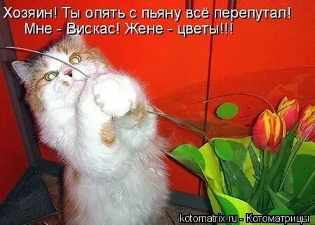 Держи меня соломинка держи