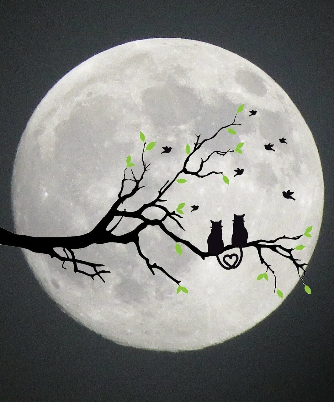 Нарисовать луну 1 класс. Луна карандашом. Силуэт на фоне Луны. Полнолуние рисунок. Нарисовать луну.