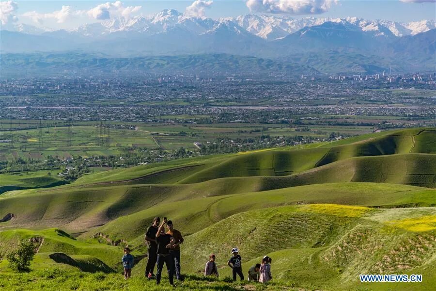 Восточные холмы. Холм Душанбе. Ёвон Таджикистан парк. Холмы Таджикистана. Зелёное поле Таджикистана.