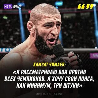 Хамзат чимаев сколько побед и поражений