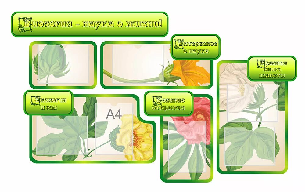 Оформление класса биологии. Стенды для кабинета биологии. Уголок в кабинет биологии. Плакаты для кабинета биологии. Баннер в кабинет биологии.