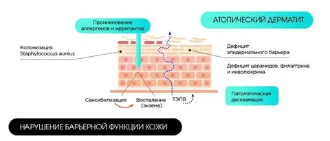Кожный барьер