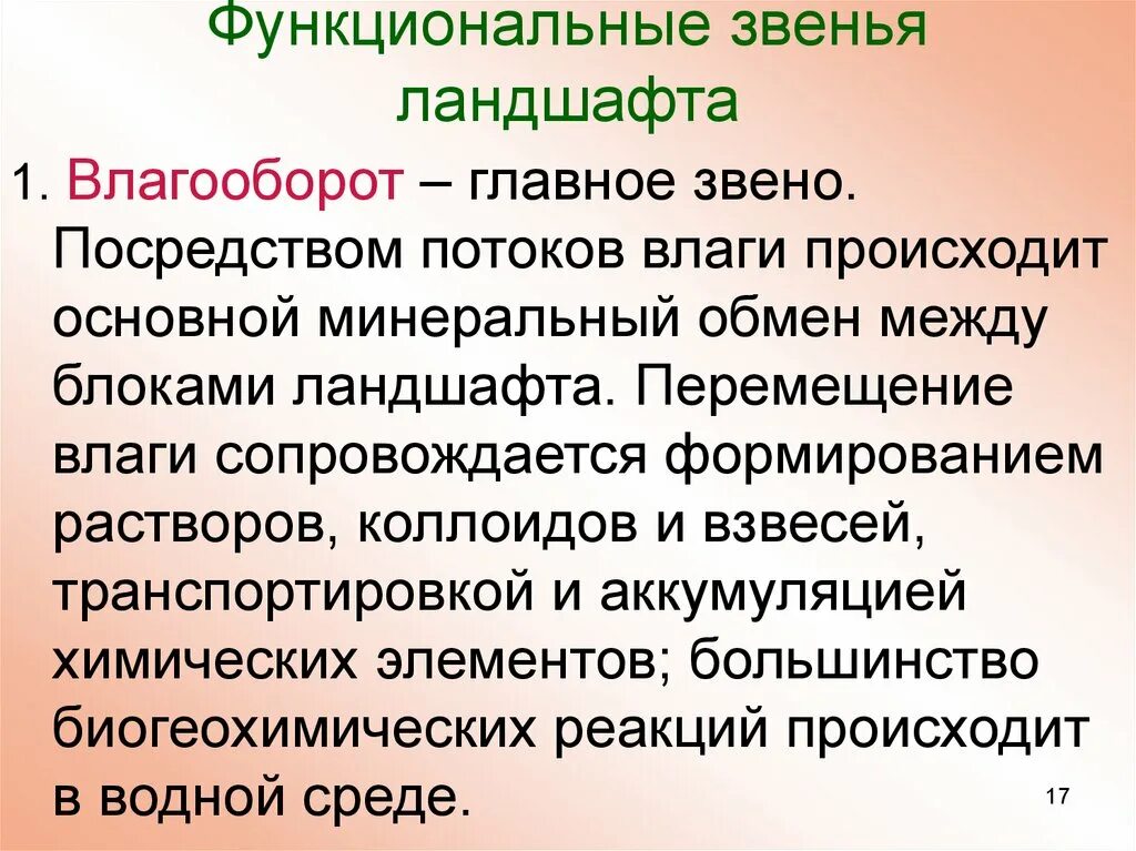 Функциональные звенья это. Функциональные звенья в ландшафте.. влагооборот в ландшафте. функционирование ландшафта. функциональные звенья.