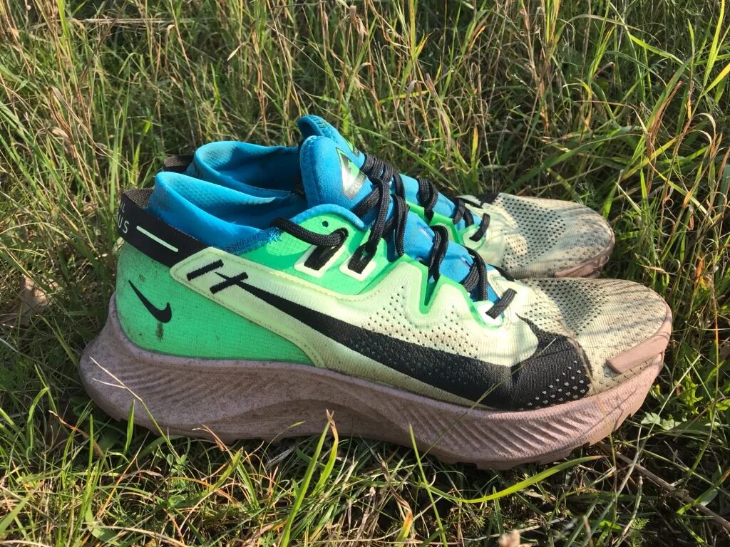 Найк пегасус трейл. Nike Pegasus Trail 2. Nike Pegasus Trail. Nike Pegasus Trail 3.