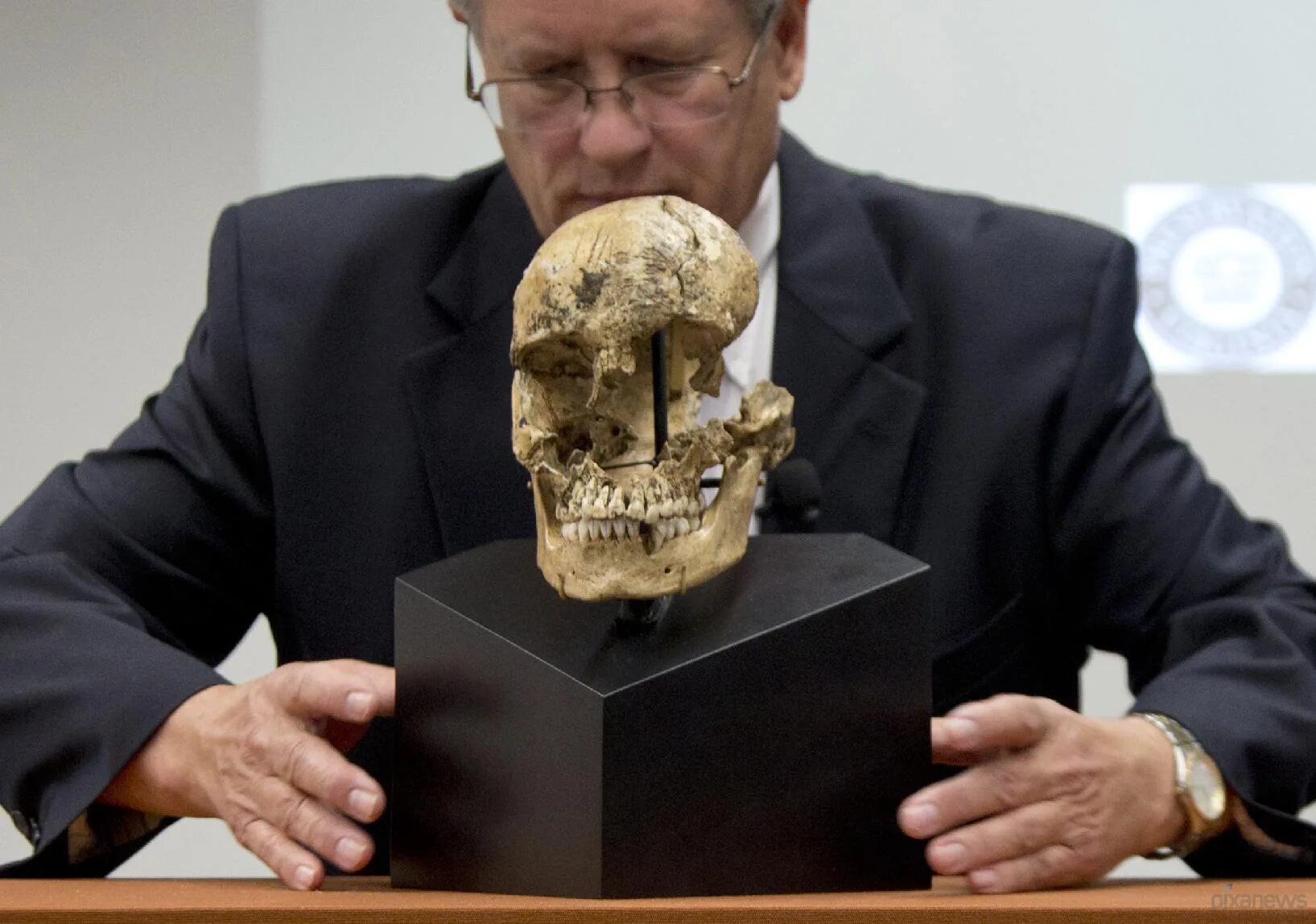 фрэнсис гальтон. английские антропологи. фрэнсис гальтон. английский антрополог. ричард рэнгем британский антрополог.