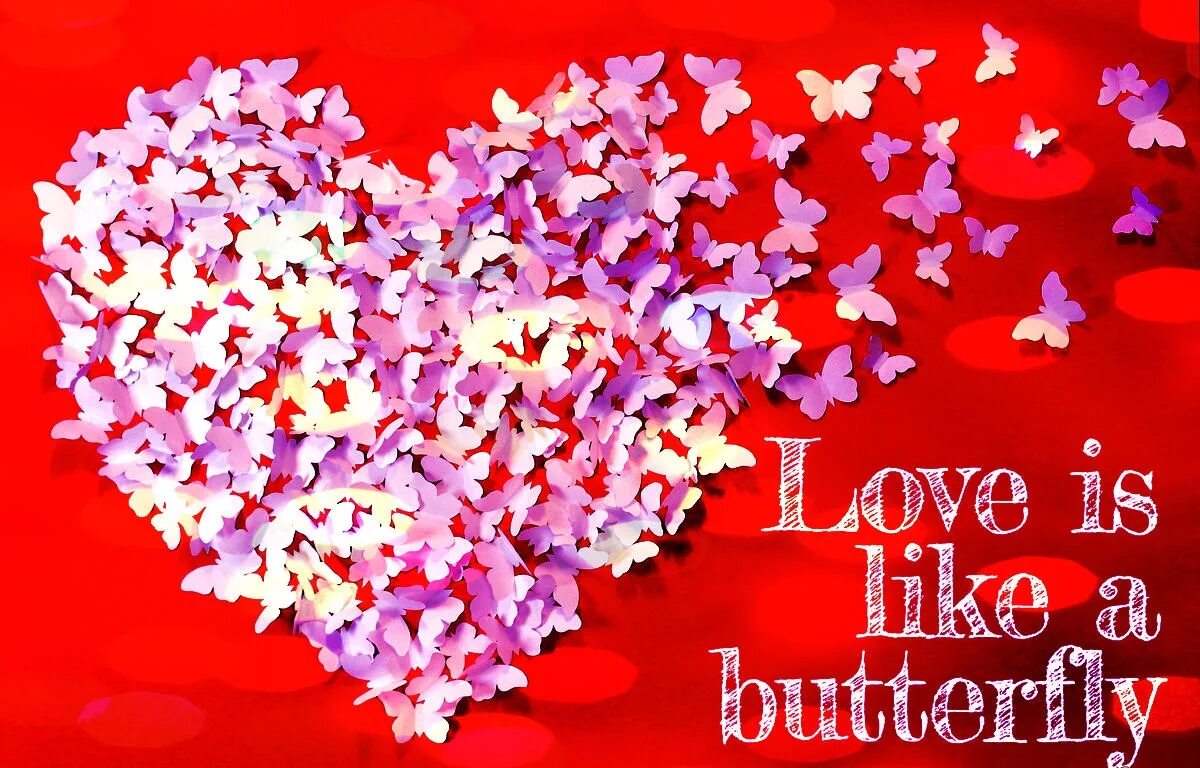 Like being. Love is like. Фотоальбом Love is like Butterfly. Открытка "Love till Death". Love made Love Butterfly.