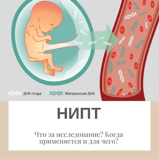 Днк тест беременной. Исследование фетальной ДНК В крови матери. Пренатальное генетическое тестирование. НИПТ скрининг. Неинвазивный пренатальный тест НИПТ.