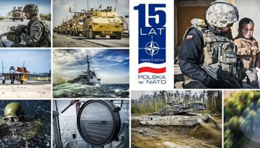 Польша NATO article. Польша article 5. NATO article 5 Poland. Польша НАТО Мем.