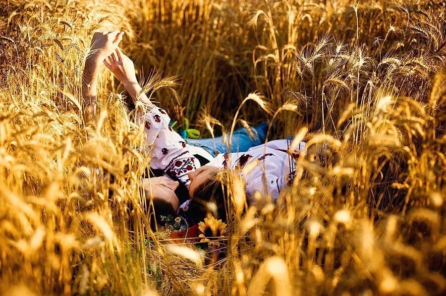 Молодые люди в поле. Фотосессия в поле. Фотосессия в пшеничном поле. Влюбленные в поле. Фотосессия в высокой траве.