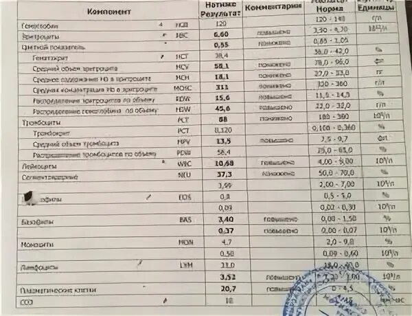 Какие показатели биохимии крови при онкологии. Общий анализ крови при онкологии показатели. ОАК при онкологии показатели. Какие показатели крови указывают на онкологию в организме человека. Изменения в анализах при онкологии