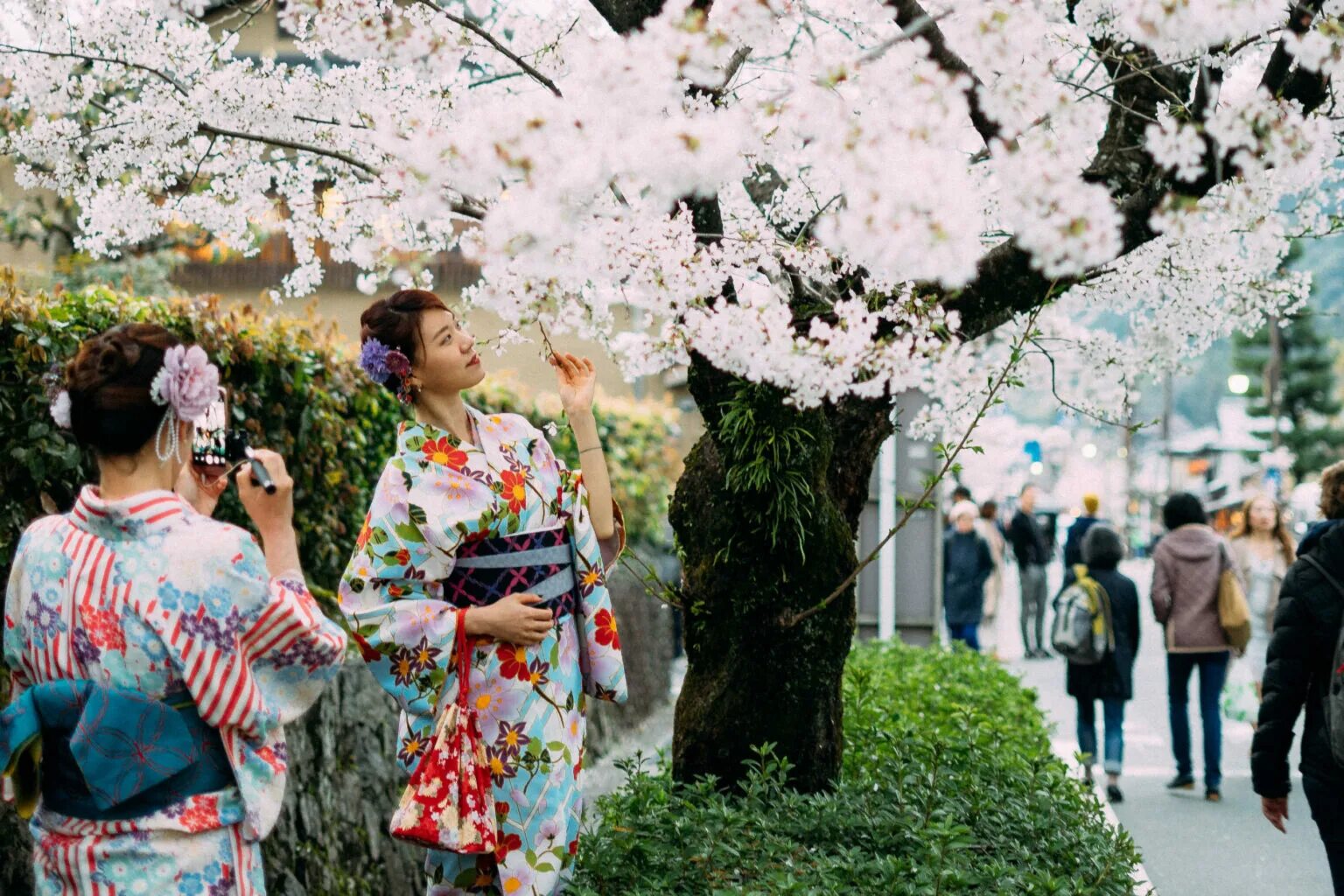 население и традиции японии. япония женщины. японцы европы. киото туризм. японцы европы.