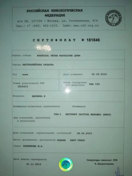 Тестирование ркф. Рабочий сертификат ркф. пастушья служба ркф. пастушья служба ркф тест на на инстинкт пастыря сертификат. баранова инна ркф.