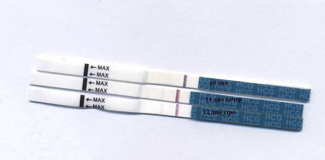 Дополнительное профессиональное образование тесты. 10 ДПО тест. Тест на беременность ДПО. 11-12 День после овуляции. 11 День после овуляции.