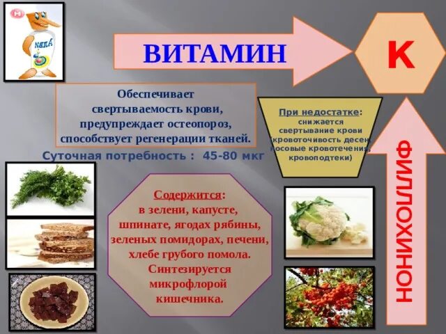 Продукты для повышения свертываемости крови. Что такое витамины. Продукты повышающие свертываемость крови.