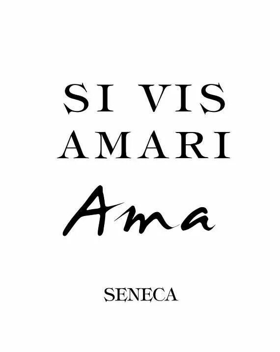 Надпись тату si vis amari ama. Как переводиться si vis amari ama. Si vis amari. Si vis amari ama тату. Сенека тату.