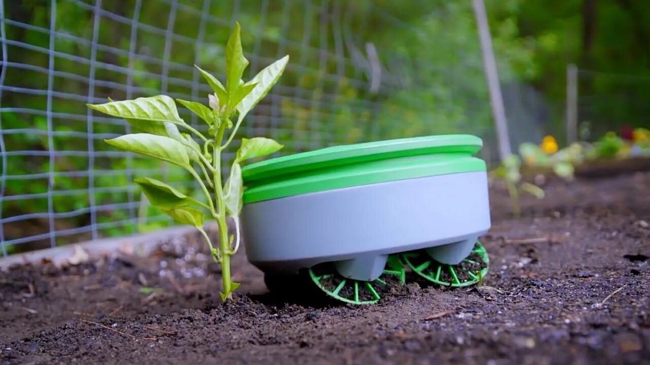 Робот пропольщик сорняков. Tertill weeding Robot. Робот для полива растений. Роботизированная грядка.