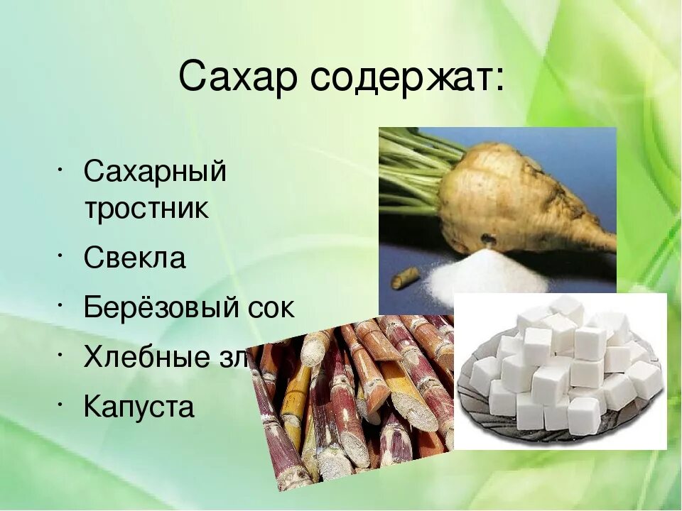 Из чего получают сахар. Из чего делается сахар. Сахар из чего. Сахарный тростник и сахарная свекла. Из чего делается Сазар.