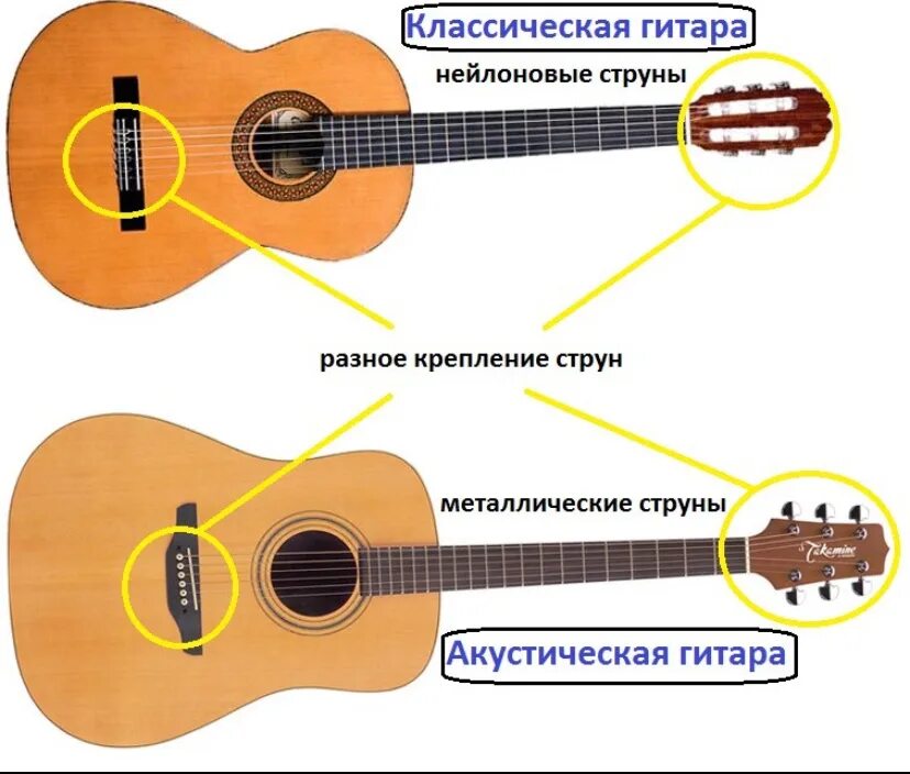 В чем разница акустической и классической. Акустическая гитара и классическая гитара отличие. Гитара 6-струнная. Отличие струн для акустической и классической гитары. В чём различие классической гитары и акустической гитары.