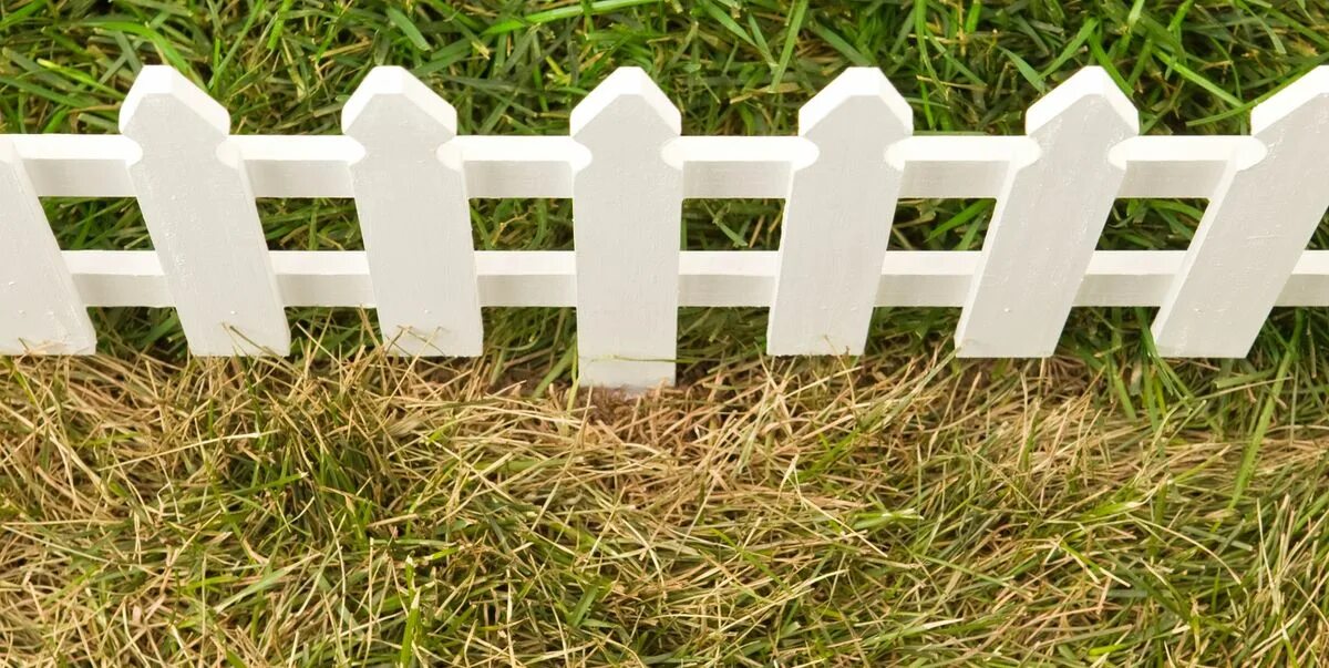 Grass greener on the other side. The grass is always greener on the other side of the fence. the glass is always greener on the other side of the fence.. the grass was greener. the grass is always greener on the other side of the fence идиомы.