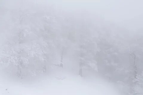 Белая метель кружится белая метель