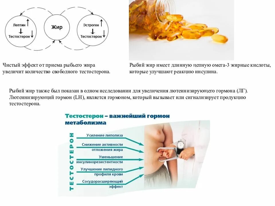 Тестостерон отпускаю. Эффект приема тестостерона. Тестостерон презентация. Тестостерон и жир. Тестостерон функции гормона.