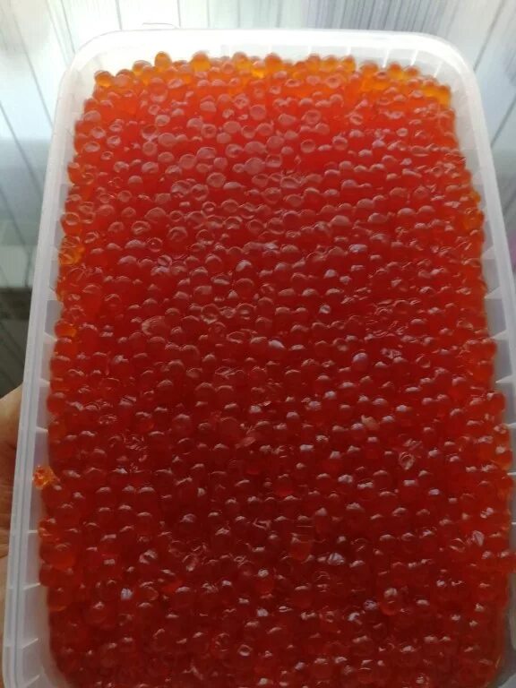 кета и горбуша икра. икра кеты и горбуши. икра красная 500 гр. красная икра кета 500 гр. икра нерки 2021.