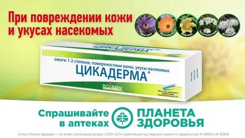 Цикадерма мазь инструкция