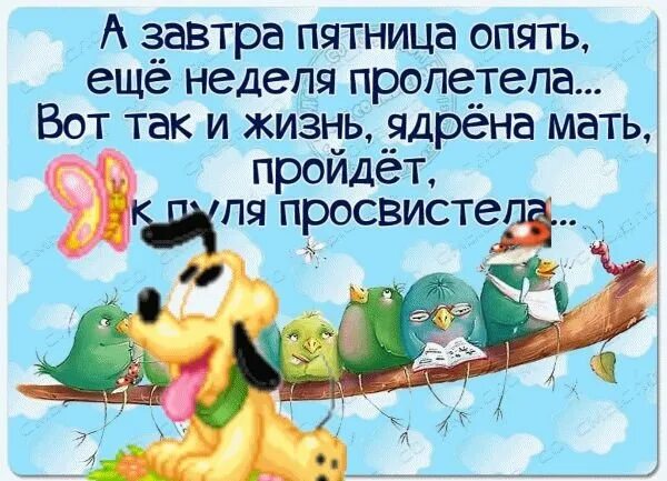 завтра пятница праздник. открытки с четвергом прикольные. завтра пятница праздник. завтра пятница. ура завтра пятница.