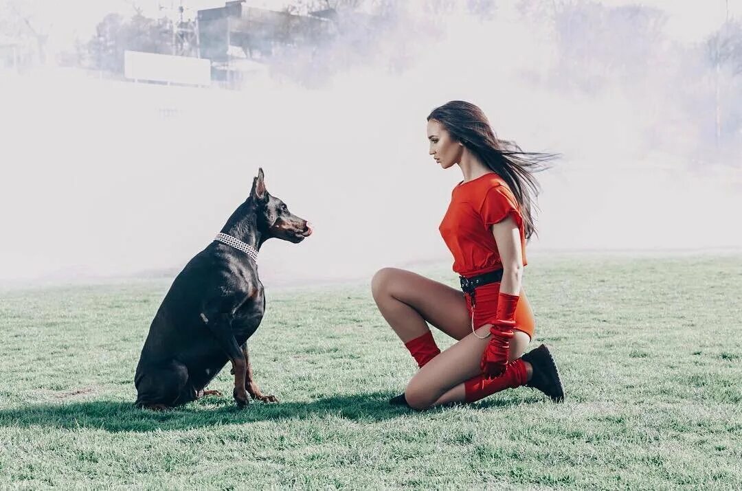 Клип кот девушка. Клип кот девушка. Девушка с кошкой фотосессия. Alexander rybak котик. Александр рыбак котик.