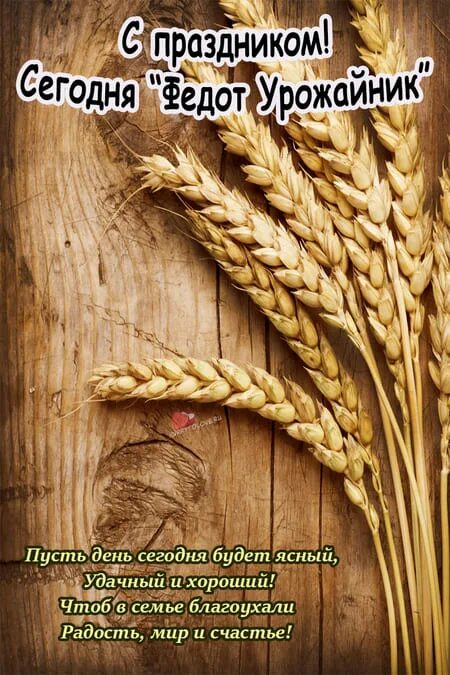 Федот урожайник (народный праздник).. Федот урожайник народный календарь. Федот урожайник 20. 20 Июня народный календарь. День федота