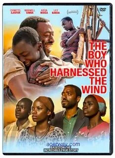 The boys who harnessed