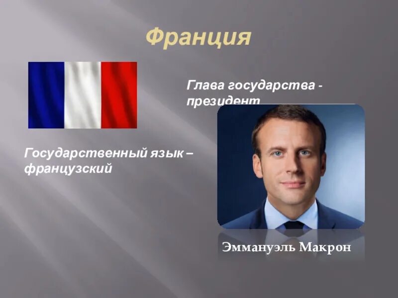Кто является главой государства великобритании. Глава государства Франции. Презентация Макрон. Проект Франция глава государства.