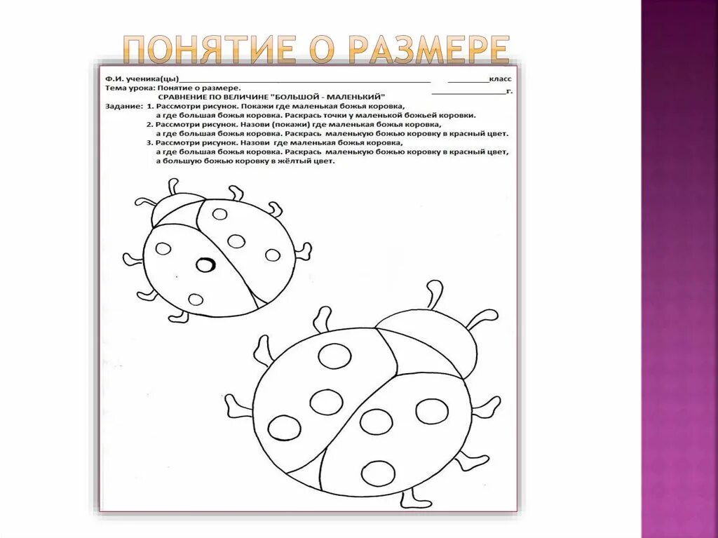 Божья коровка задания для детей 6-7 лет. Божья коровка символ. Божья коровка для дошкольников. На рисунке изображены две божьи коровки. На рисунке изображены две божьи коровки.