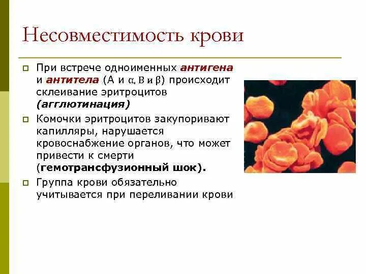 Несовместимость крови. Групповая несовместимость крови. При несовместимость крови. Причины несовместимости крови. Несовместимость по группе крови