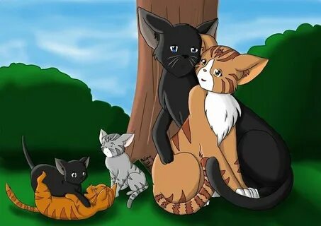 Грач и листвичка коты