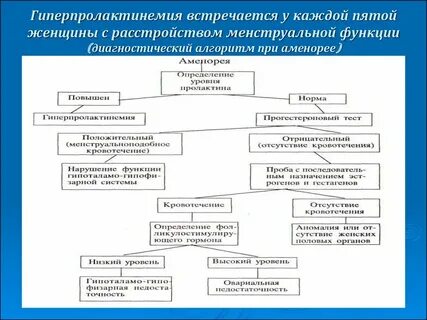 Аменорея это у женщин